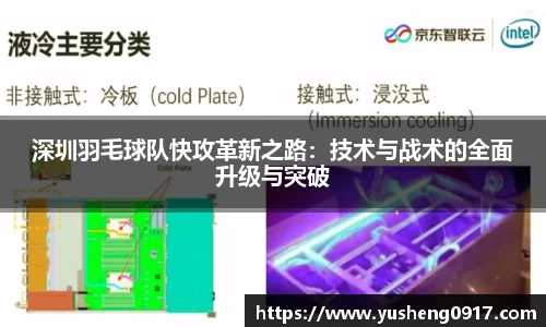 深圳羽毛球队快攻革新之路：技术与战术的全面升级与突破