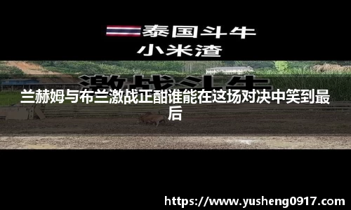 兰赫姆与布兰激战正酣谁能在这场对决中笑到最后
